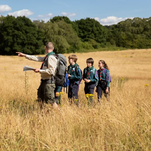 Wildlife Encounters: Lessons From the Field